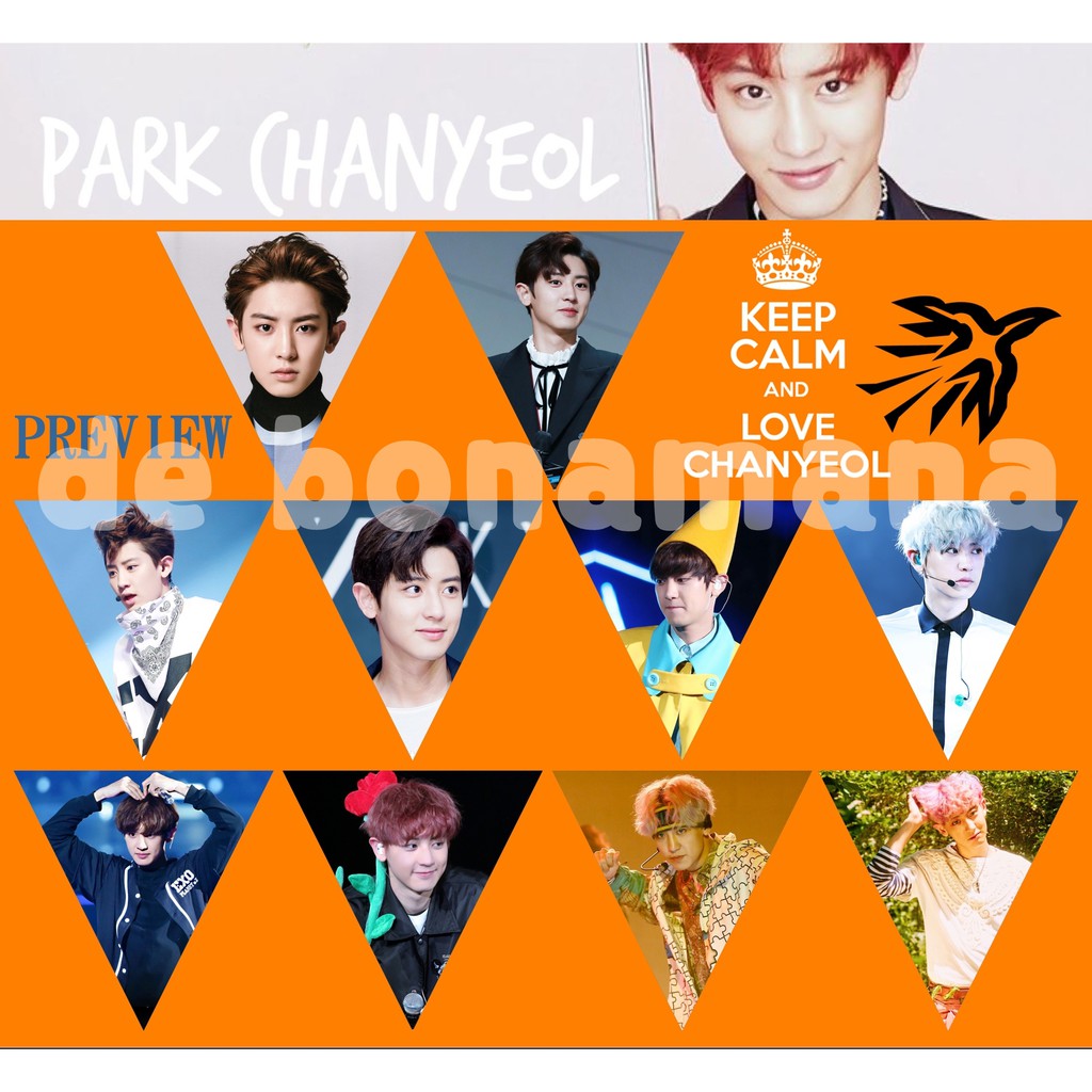 Jual BUNTING FLAG CHANYEOL EXO | Shopee Indonesia