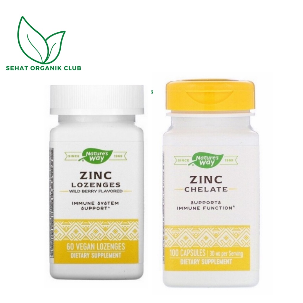 Jual Nature's Natures Nature Way Zinc Lozenges 60 Vegan Lozenges