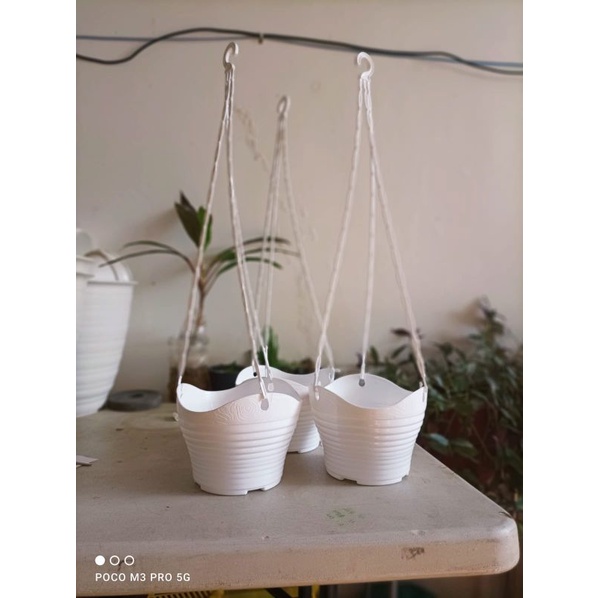 Jual POT BUNGA GANTUNG ALEXISH 20 PUTIH - POT GANTUNG CEPER 118 ...