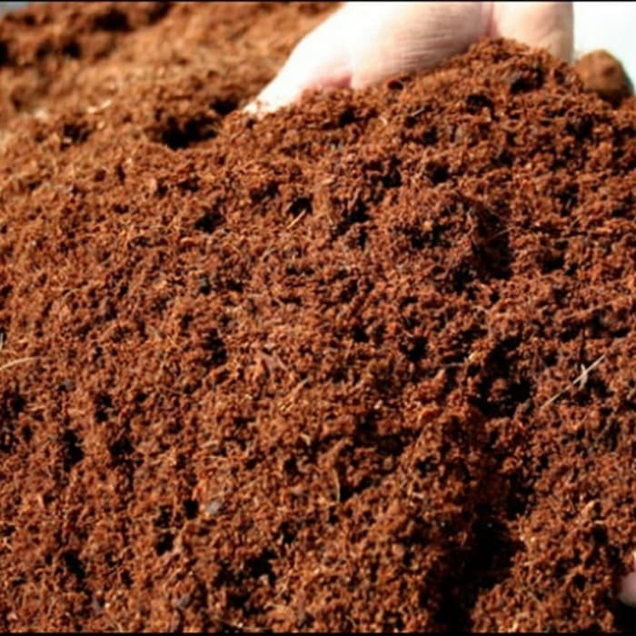 cocopeat karungan harga murah / media tanam cocopit