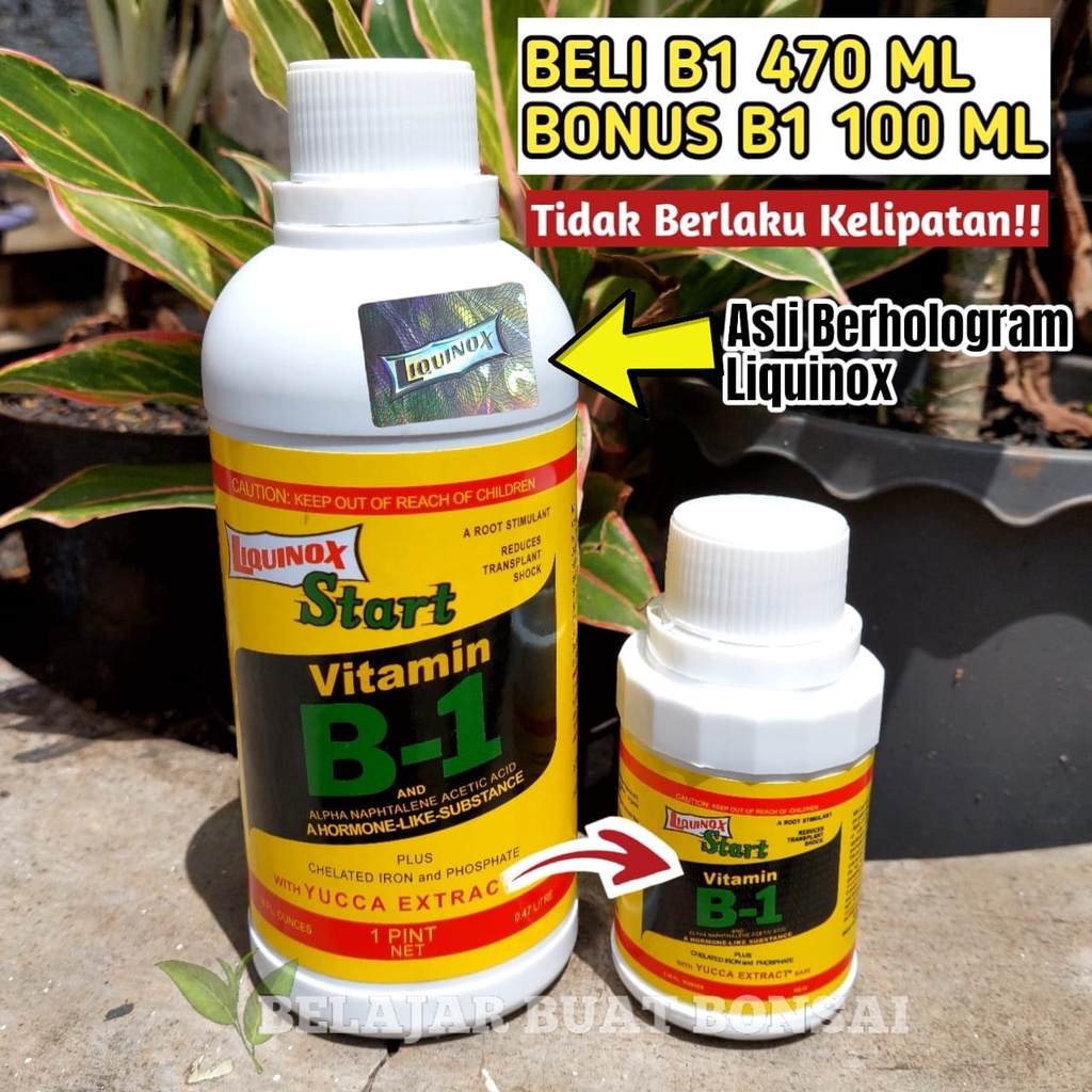 Jual VITAMIN B1 LIQUINOX 470ML BELI 1 GRATIS B1 100ML | Shopee Indonesia