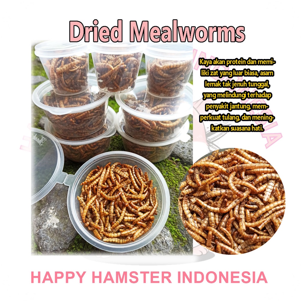 Jual [HHI] ULAT HONGKONG KERING MAKANAN HAMSTER BURUNG GERBIL RATS
