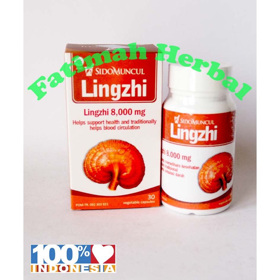 Jual Kapsul Jamur LingZhi Sido Muncul, Darah Tinggi, Sirkulasi Darah