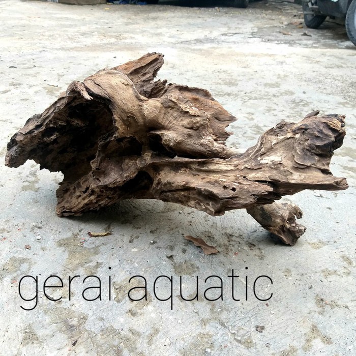 Jual kayu rentek driftwood RK093 hardscape aquscape aquarium kolam ...