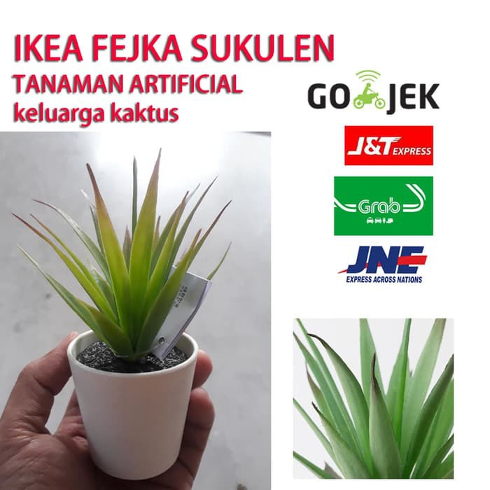 Jual "IKEA FEJKA SUKULEN Tanaman Tiruan KELUARGA KAKTUS" | Shopee Indonesia