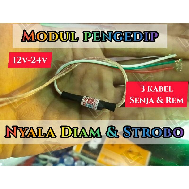 Jual MODUL PENGEDIP LED FLASH DAN STANDBY 2 FUNGSI 12V 24V | Shopee ...