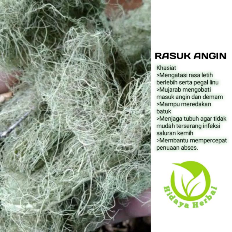 Jual Rasuk Angin / Akar Angin 500gr | Shopee Indonesia