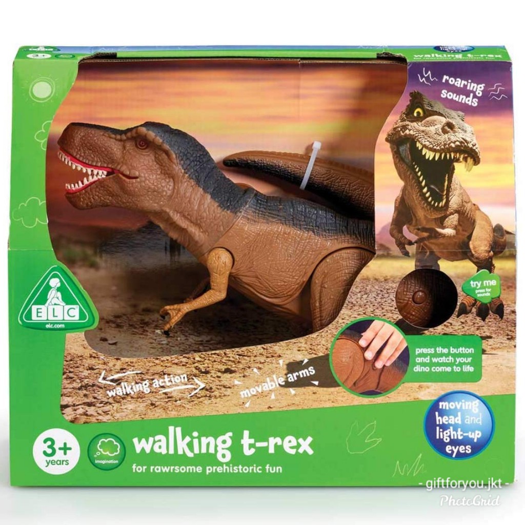 Early learning sales centre dinosaur