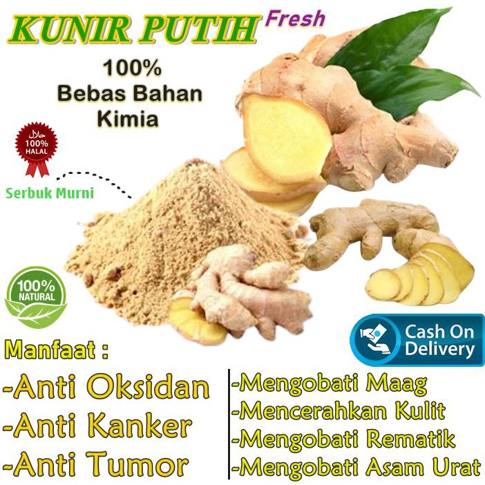 Jual Kunyit Putih Bubuk Murni Asli Kunir Putih Original Alami Kunyit Putih Segar Curcuval Plus 4324