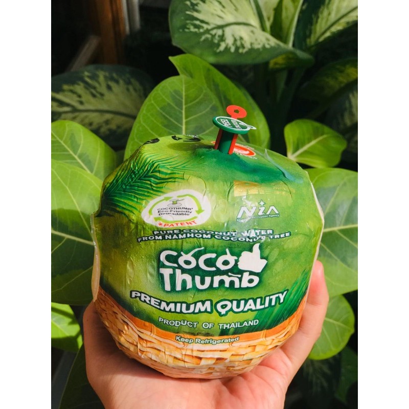 Jual Coco Thumb Kelapa Thailand Shopee Indonesia 2804