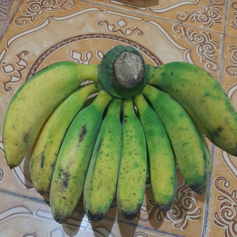Jual pisang raja persisir | Shopee Indonesia