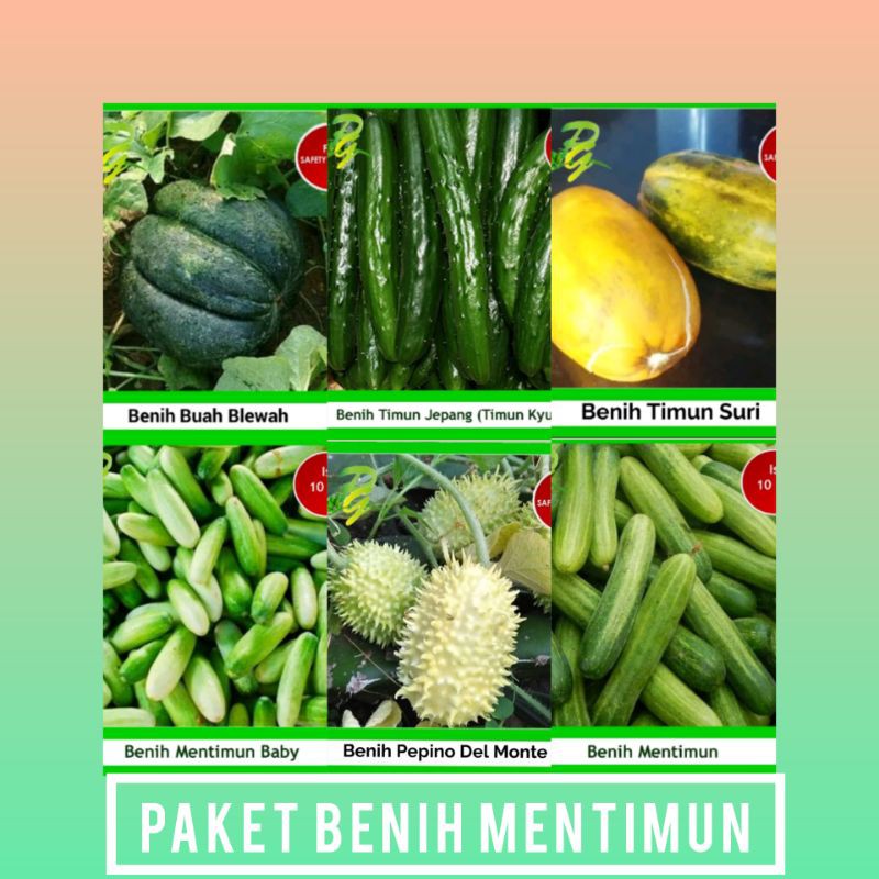 Jual Paket Benih Mentimun-Timun Jepang-Timun Suri-Timun Baby-Timun ...