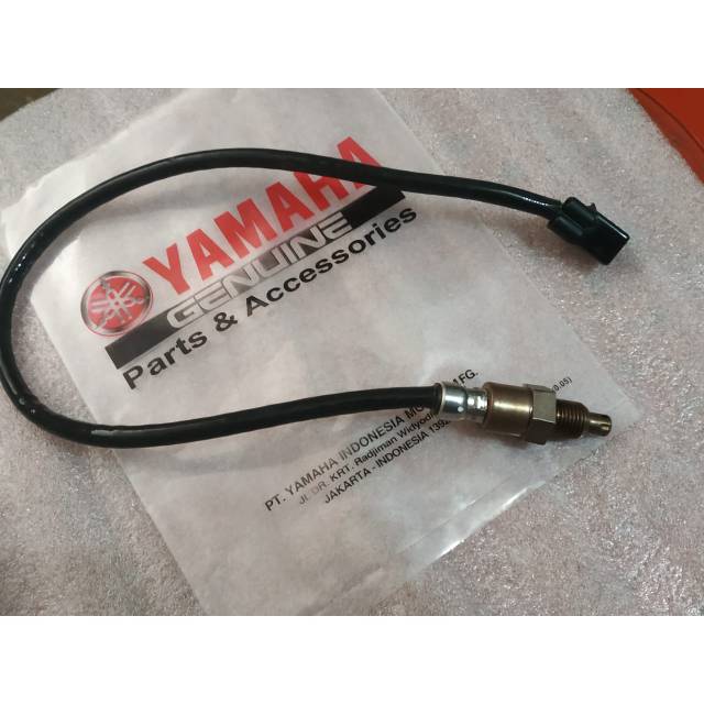 Jual Sensor CO Sensor Oksigen R25 MT25 Original | Shopee Indonesia