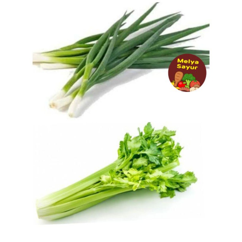 Jual Sayuran Segar Daun Bawang Seledri Melyasayur Shopee Indonesia