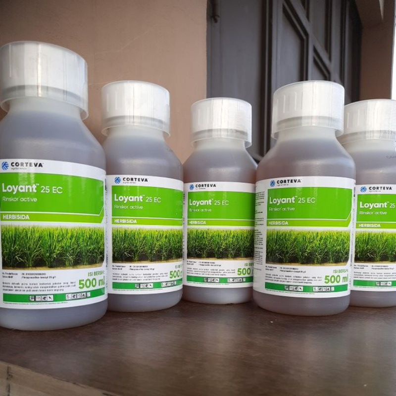 Jual LOYANT 25EC (500ml) | Shopee Indonesia