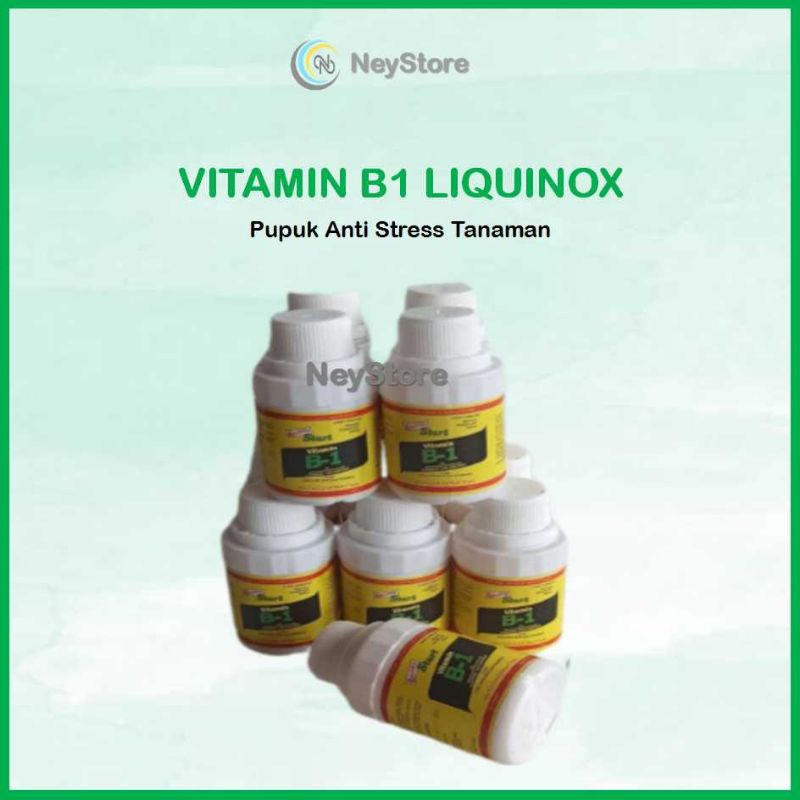 Jual Pupuk Vitamin B1 Vit B1 Liquinox Start Pupuk Tanaman Anti Stres ...