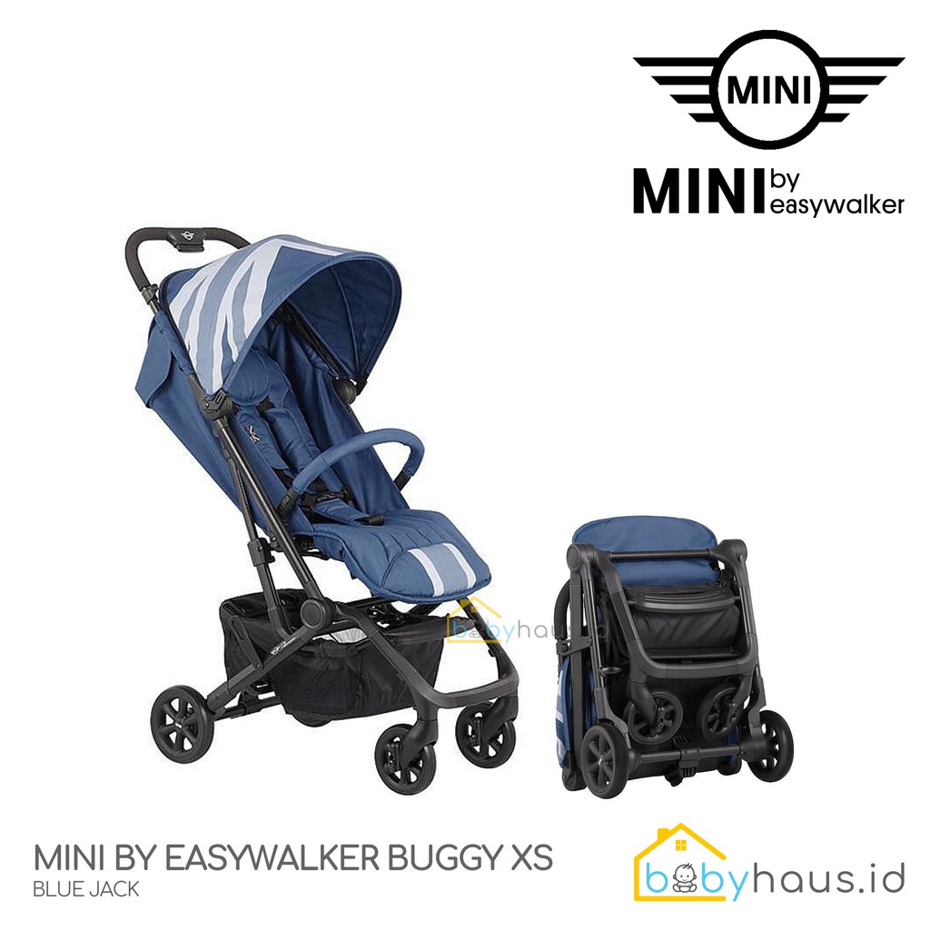 Mini xs buggy best sale