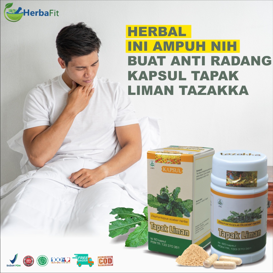 Jual Obat Batu Ginjal Kapsul Herbal Daun Tapak Liman Tazakka Isi Kaps Halal Bpom Original