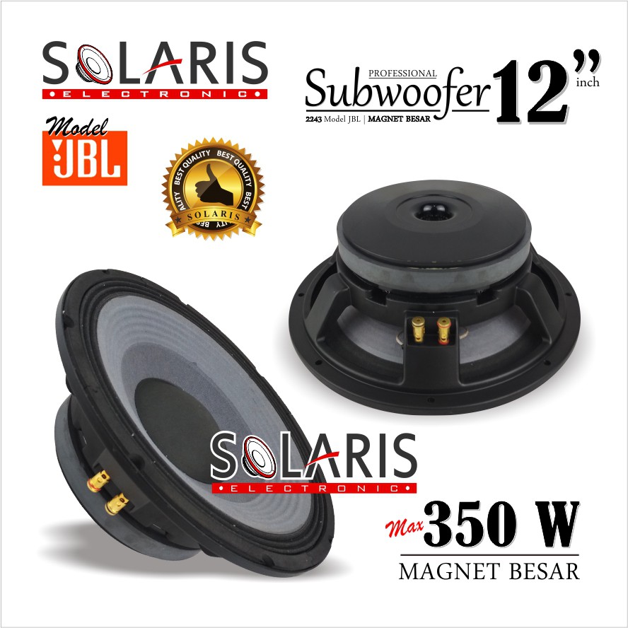 Speaker store subwoofer 12