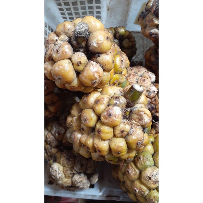 Jual asam cekala 250gr | Shopee Indonesia