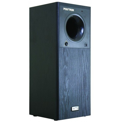 Jual Polytron PSW 500 Subwoofer Shopee Indonesia