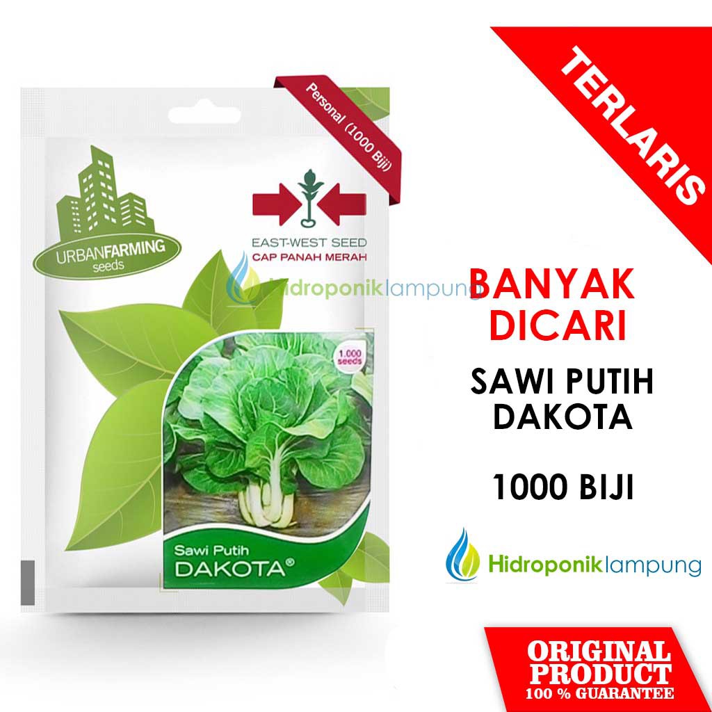 Jual Benih Sawi Putih Dakota Panah Merah Hidroponik Urban Farming