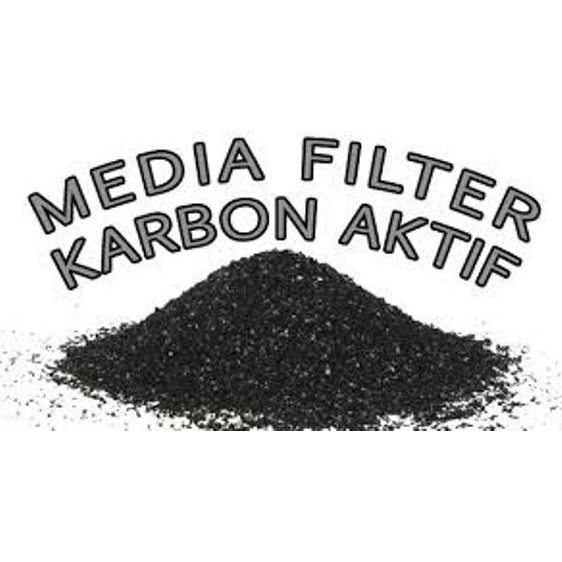 Jual Carbon Active Karbon Aktifarang Aktif Isi Per 1 Kg Shopee Indonesia