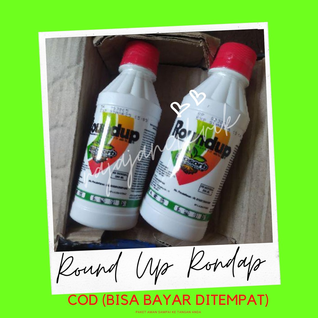 Jual ROUNDUP 486SL RONDAP pembasmi rumput isi 200ml | Shopee Indonesia