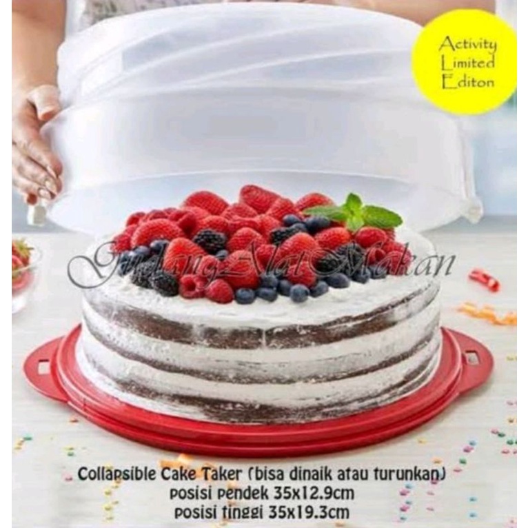 Jual Promo !! cake taker (tempat kue) | Shopee Indonesia