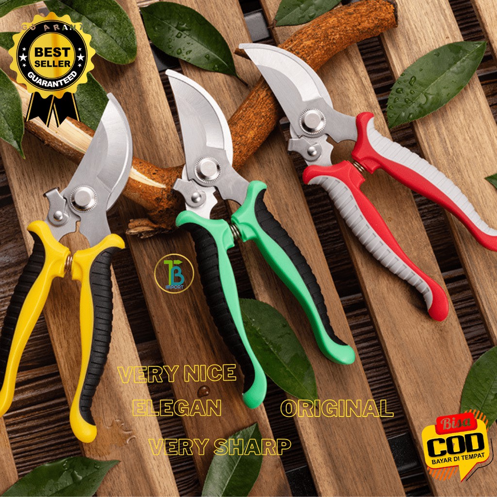 Jual Gunting Dahan Ranting Bunga Pruning Stainless Best Quality Import ...
