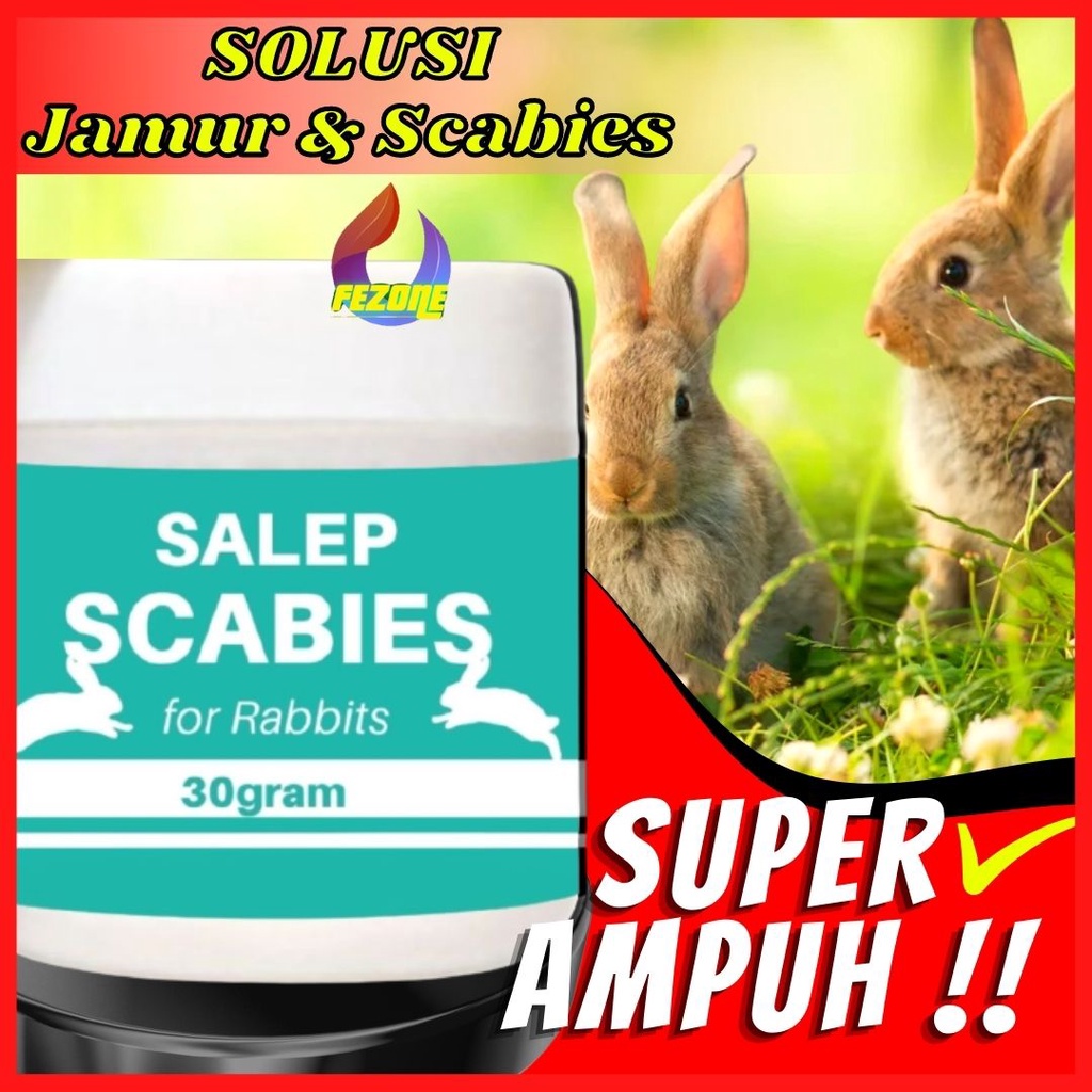 Jual Obat Scabies Kelinci, Salep Scabies Kelinci, Scabies Kelinci ...