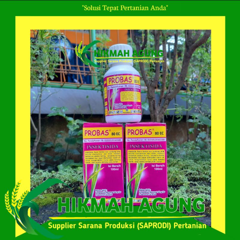 Jual PROBAS 80EC 100ML / insektisida segala jenis ulat | Shopee Indonesia
