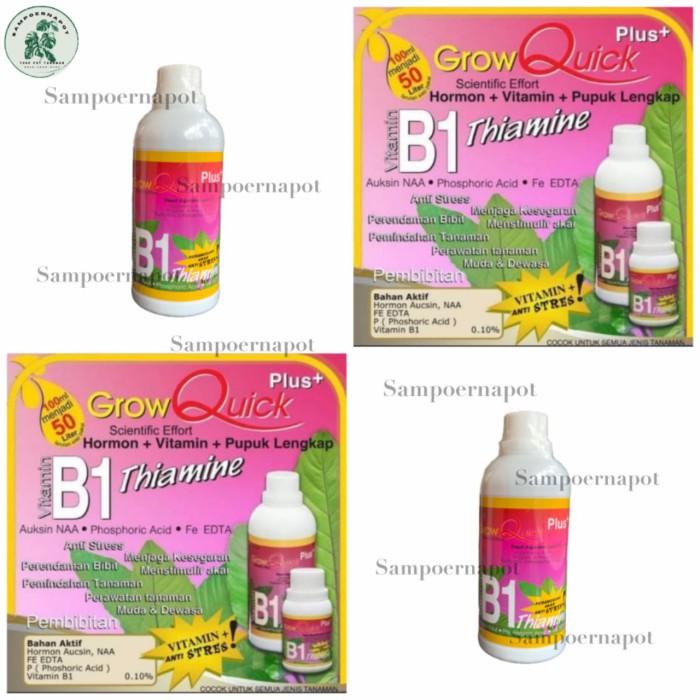 Jual Pupuk Vitamin B1 Plus Grow Quick 500ml Hormon Akar - B1 PLUS BESAR ...