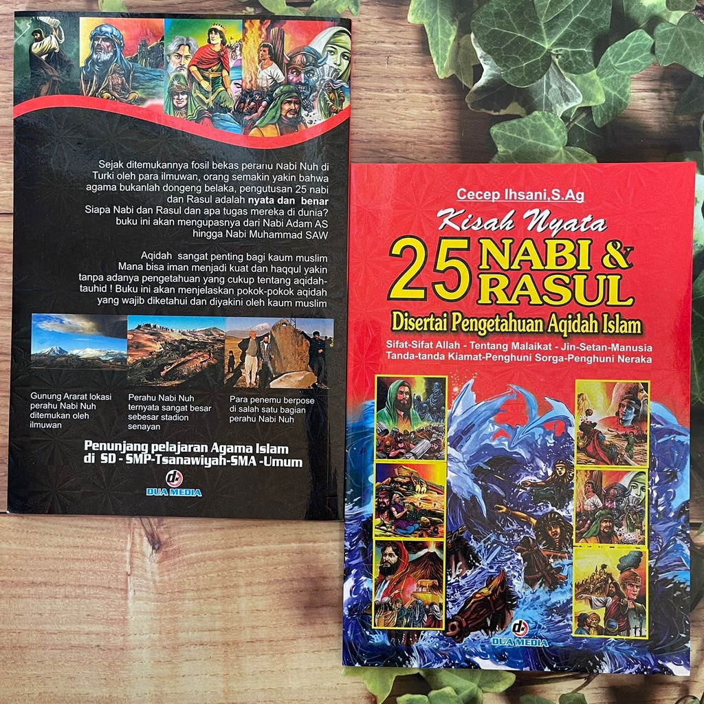 Jual Buku Bergambar Kisah Nyata 25 Nabi Dan Rasul Full Colour Soft ...