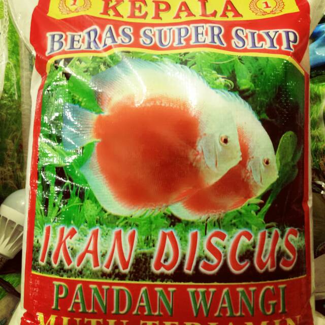 Jual Beras Kepala Super Ikan Diskus Kg Shopee Indonesia