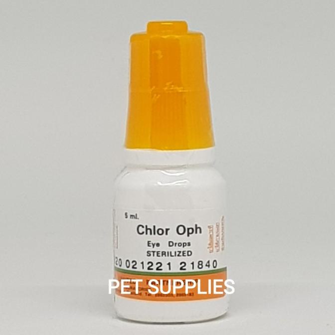 Jual Obat Tetes Mata Antibiotik Anjing Kucing Chlor Oph Isi Ml Shopee Indonesia