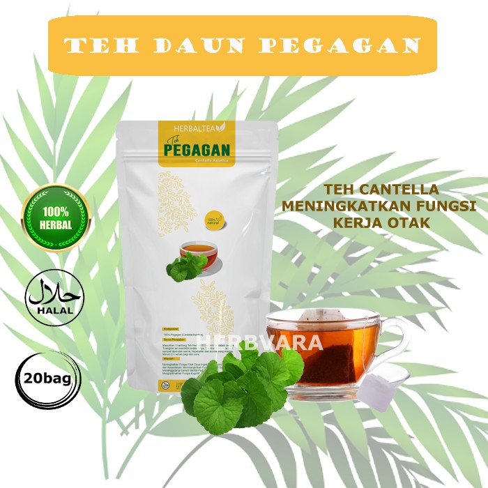 Jual TEH HERBAL PEGAGAN / CANTELLA TEH CELUP MENINGKATKAN FUNGSI OTAK ...