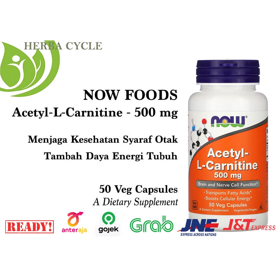 Jual Now Acetyl L Carnitine 500 mg 50 VegCaps Now Food Acetyl L