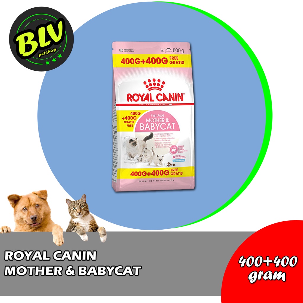 Jual Royal Canin Mother & Babycat 400 Gram FREE 400 Gram ( dry food for