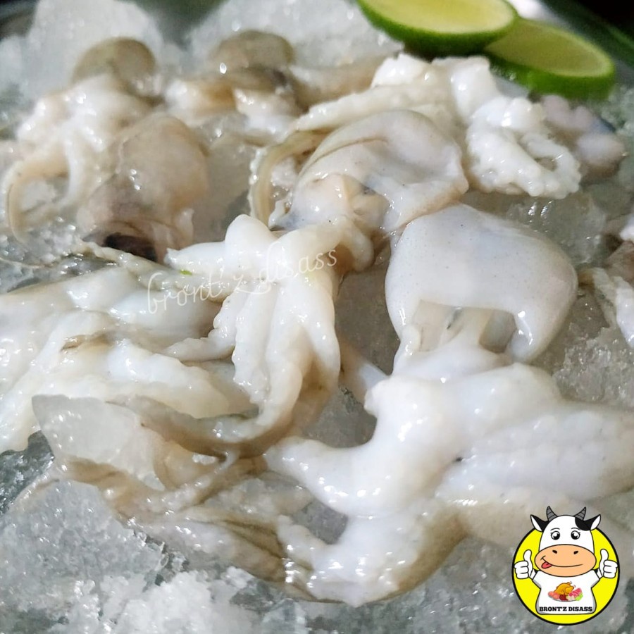 Jual BABY GURITA BABY OCTOPUS FROZEN FOOD SEAFOOD DISASS JOGJA