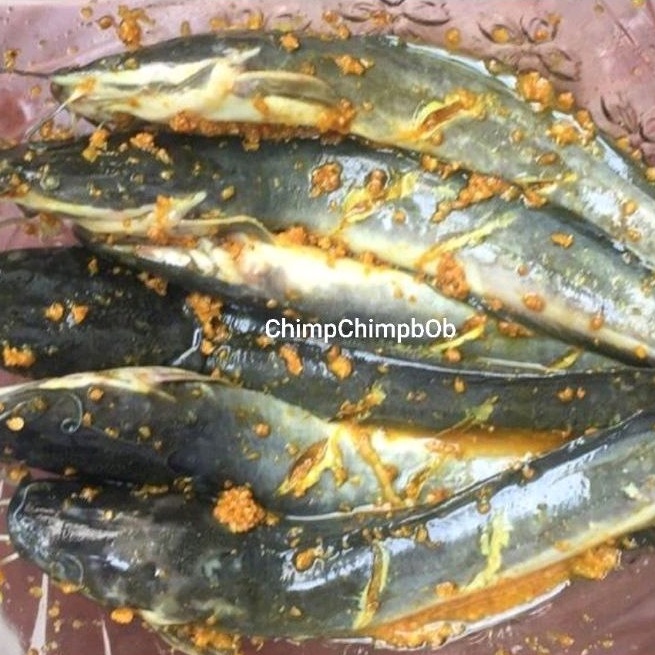 Jual LELE SEGAR BUMBU KUNING 500 GRAM / LELE BUMBU KUNING SIAP GORENG ...