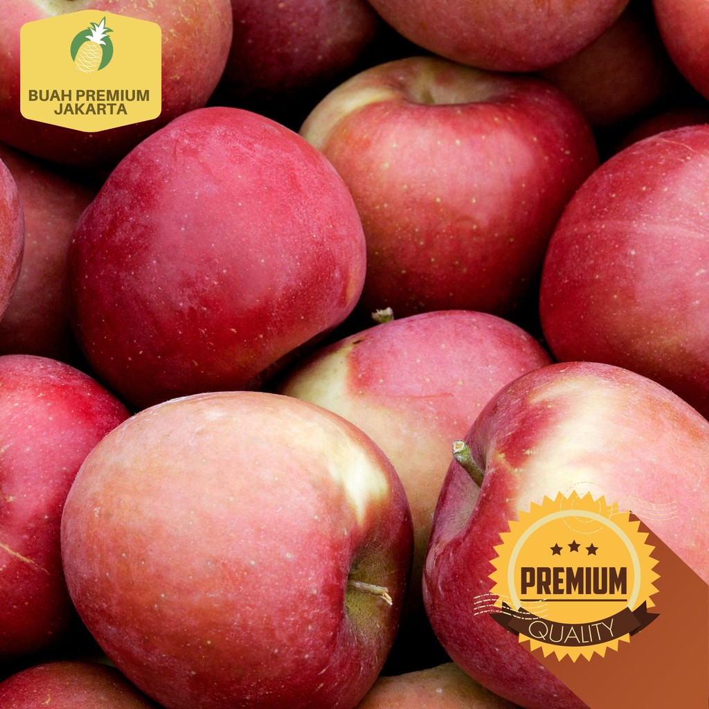 Jual Buah Apel Fuji RRC | Shopee Indonesia