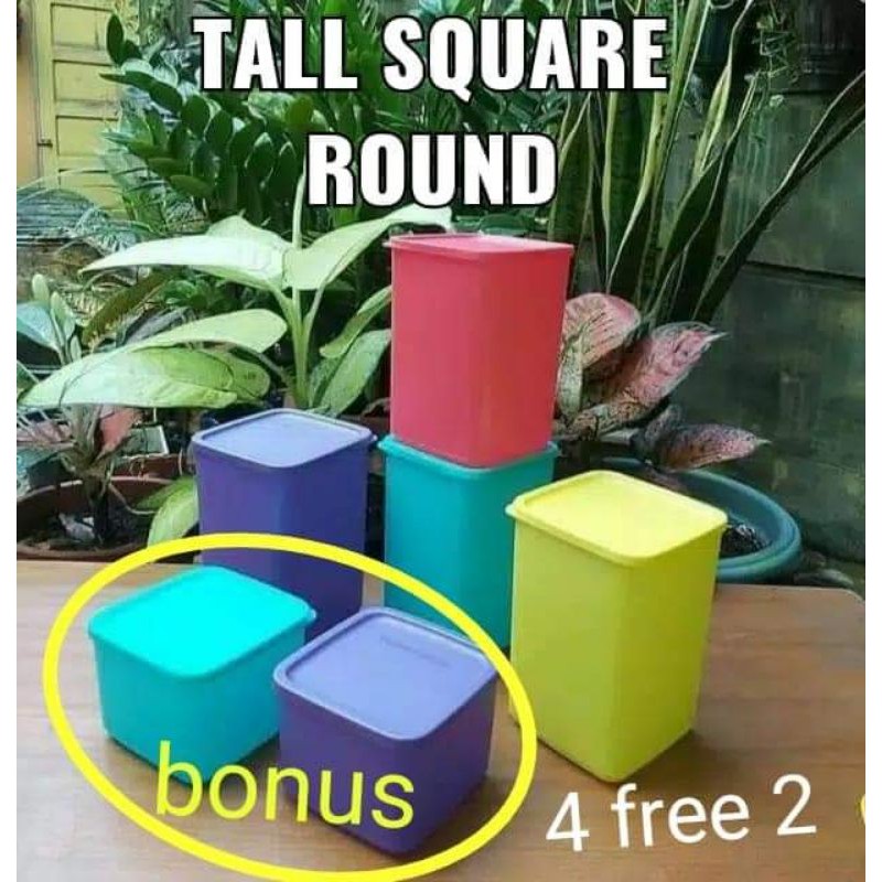 Jual RAJA - Tall Square Round free 2 box medium | Shopee Indonesia