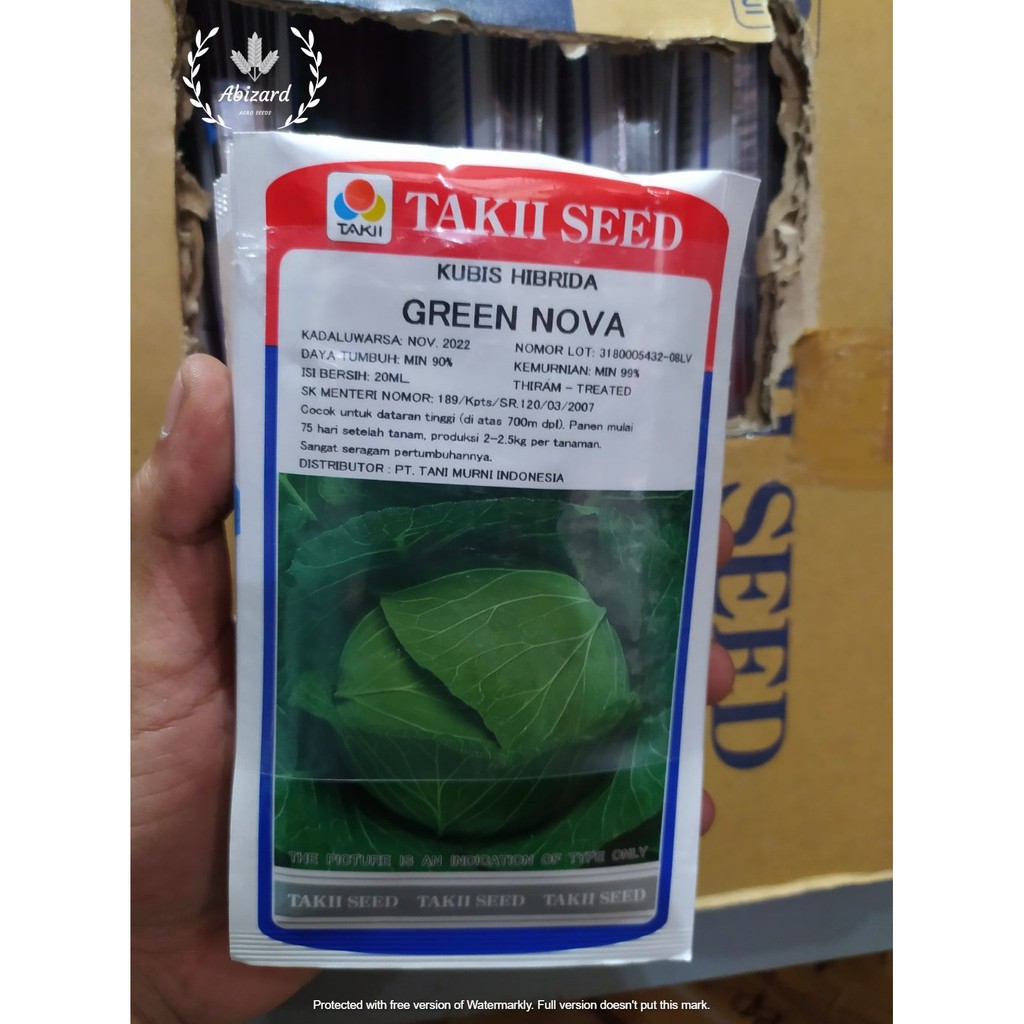 Jual Benih Bibit Kol Kubis Hibrida F Green Nova Ml Original Takii Seed Shopee Indonesia