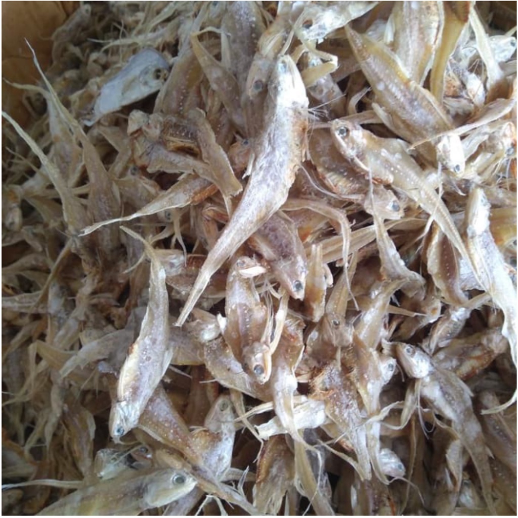 Jual Ikan Asin Bulu Ayam 100 gr Ikan Asin Untuk Tambahan Menu Urap ...