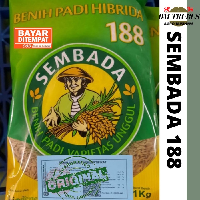 Jual Benih Padi Hibrida Sembada 188 1KG | Shopee Indonesia