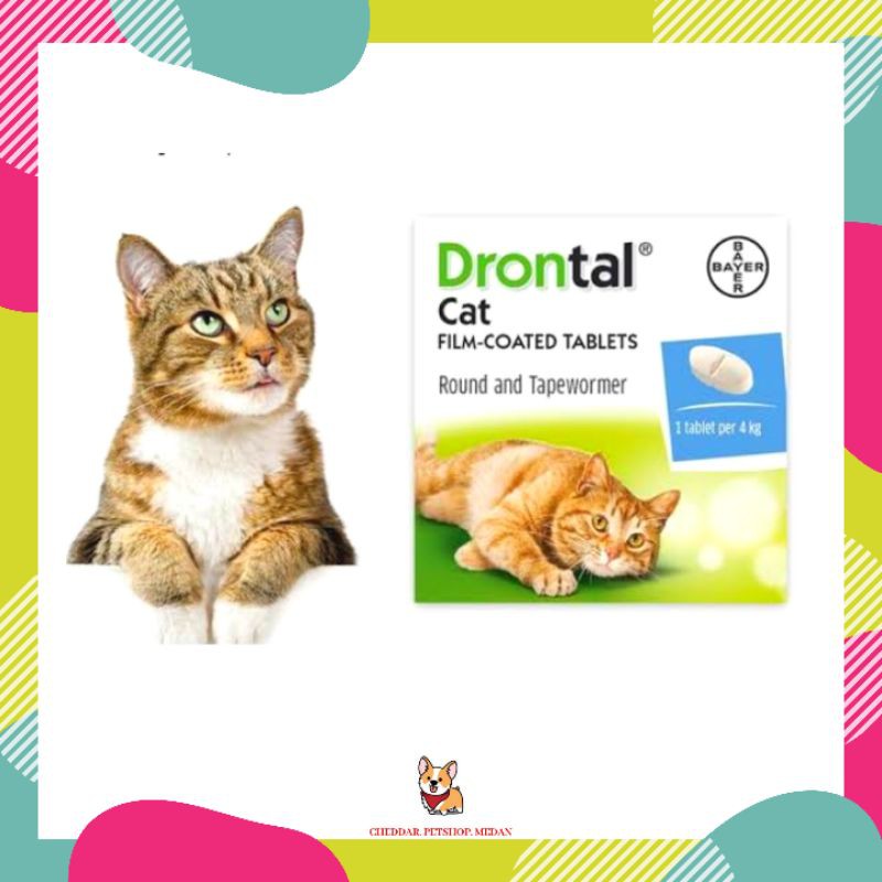 Jual Drontal Cat Tablet Per Strip / Obat Cacing Kucing Drontal Per ...