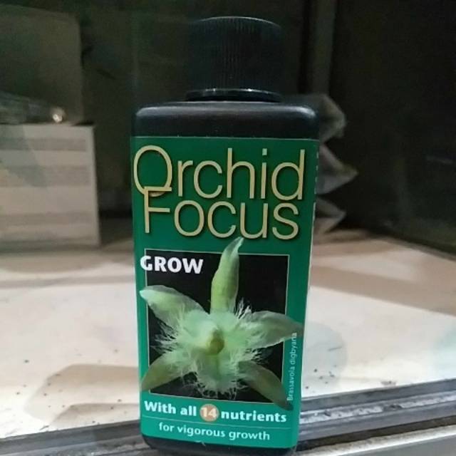 Jual Orchid focus grow | Shopee Indonesia