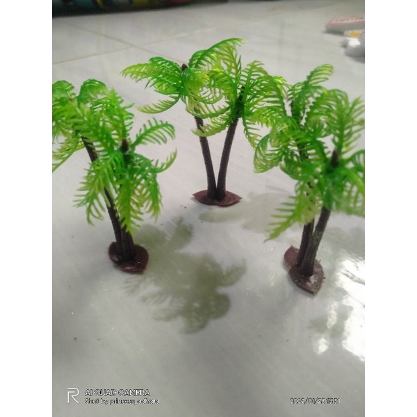 Jual pohon kelapa | Shopee Indonesia