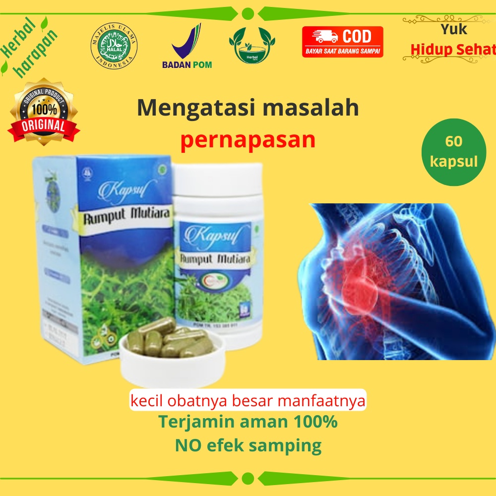 Jual Rumput Mutiara Obat Herbal 100 Alami Efektif Mengatasi Gangguan